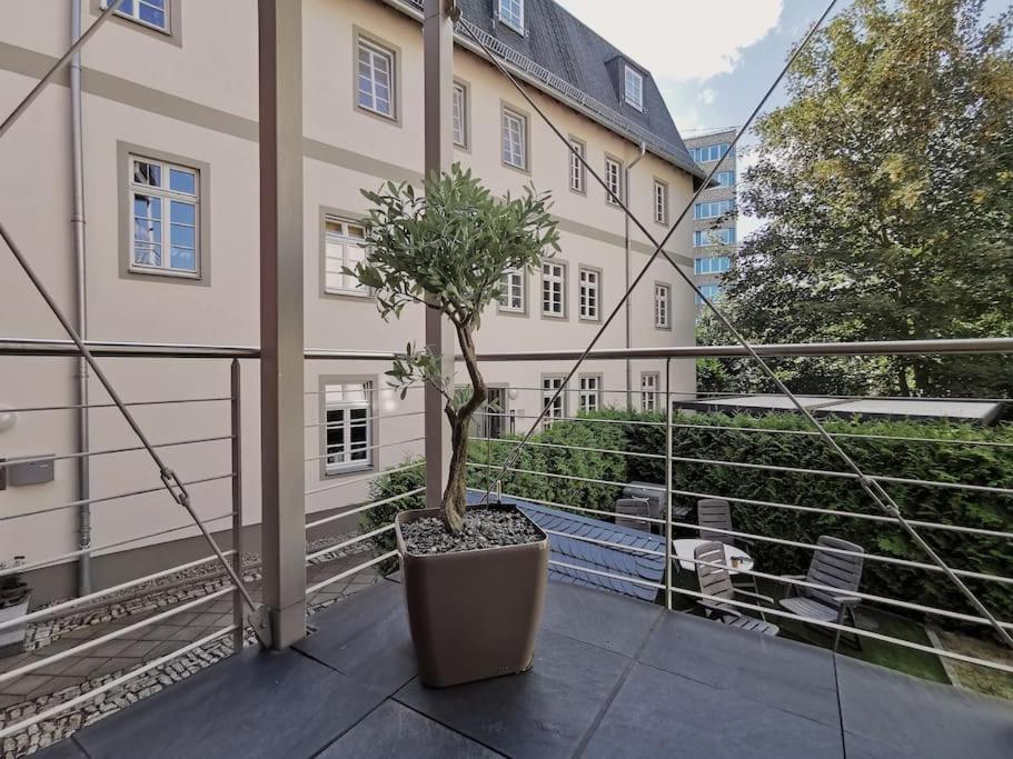 Ferienwohnung Im Bruehl Erfurt Eksteriør bilde